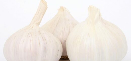 garlic, cooking, flavor, flavour, food, fresh, healthy, herbs, ingredients, nutrition, seasoning, spice, vegetarian, white, garlic, garlic, garlic, garlic, garlic