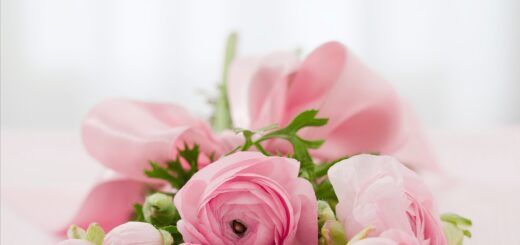 bouquet, flowers, roses
