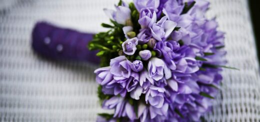 bouquet, flowers, flower arrangement, flower background, flower wallpaper, nature, purple flowers, flower bouquet, beautiful flowers, wedding bouquet, bridal bouquet, closeup