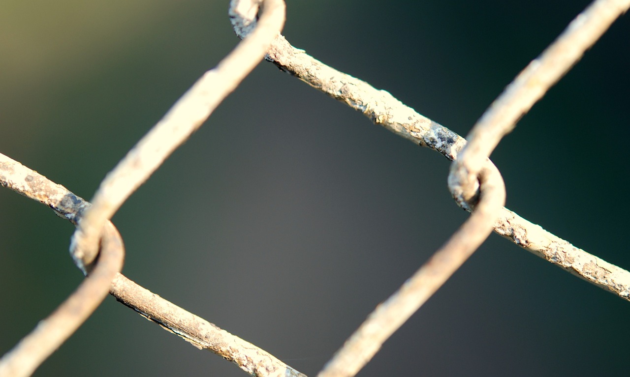 fencing, chainlink, wire
