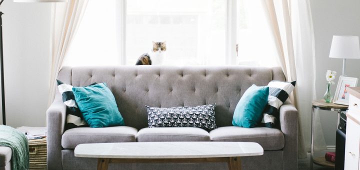 living room, sofa, couch