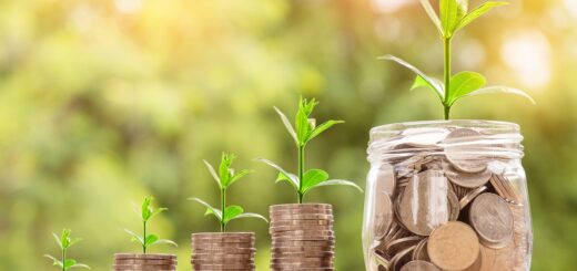 money, coin, investment
