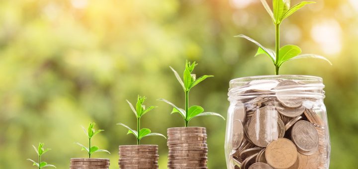 money, coin, investment