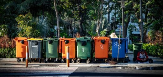 trash, bin, garbage