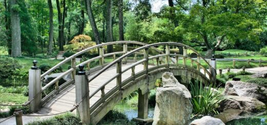 bridge, park, garden