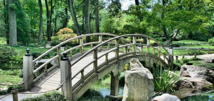 bridge, park, garden