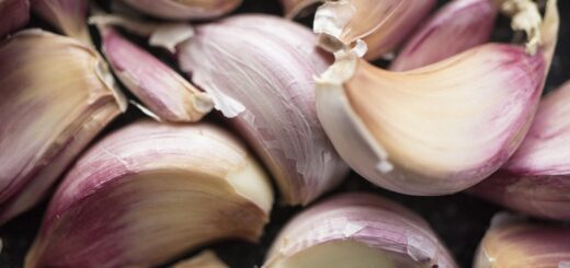 garlic, clove, raw