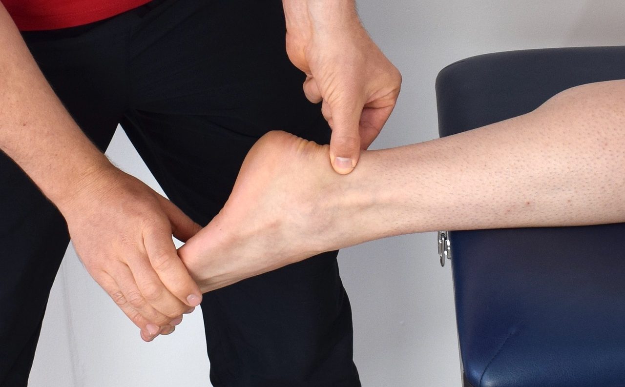 Ankle Calf Muscle Achilles Tendon - mrdjrlawrence / Pixabay
