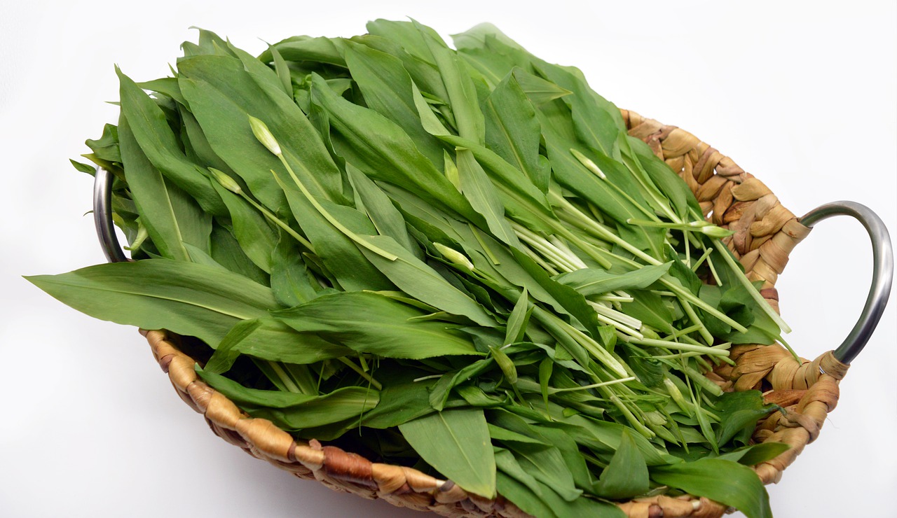 Bear S Garlic Leaves Basket Harvest - neelam279 / Pixabay