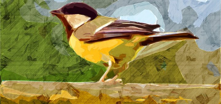 Bird Animal Painting Watercolor  - freepsdgraphics / Pixabay