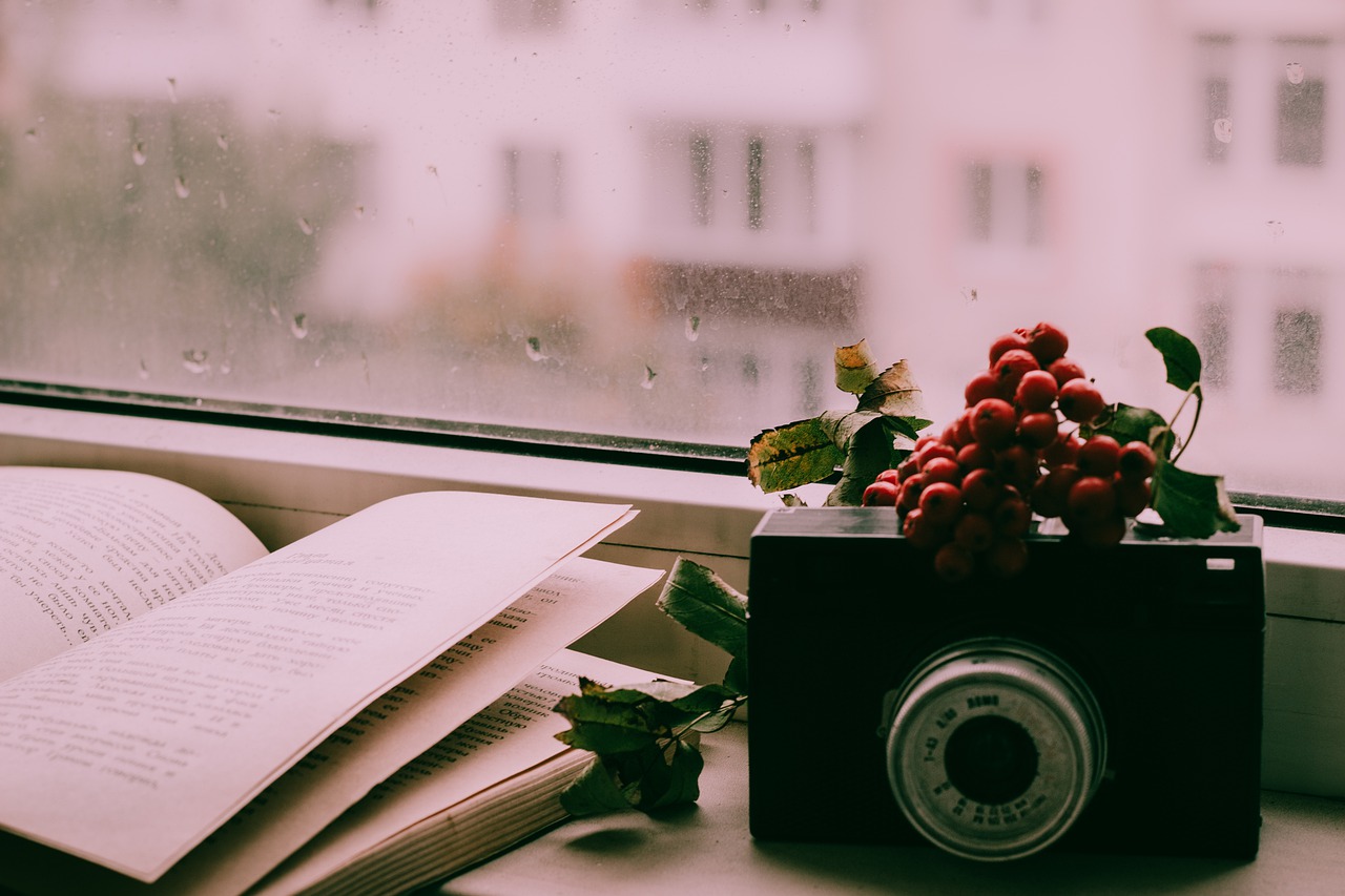 Book Camera Window Rain - ymkaaaaaa / Pixabay
