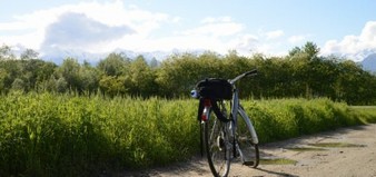 Campaign Bike Fields Summer