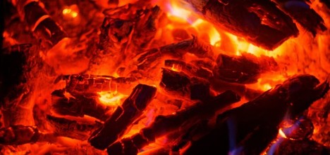 Coals Fire Tree Heat Night  - barmalyanich / Pixabay