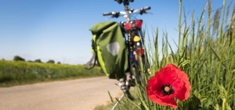 Cycling Poppy Leisure Bike  - Didgeman / Pixabay