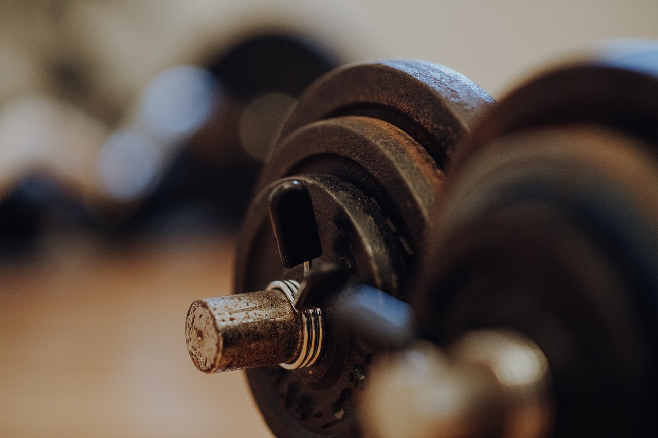 Dumbbell Weight Training Gym - NightRainer / Pixabay