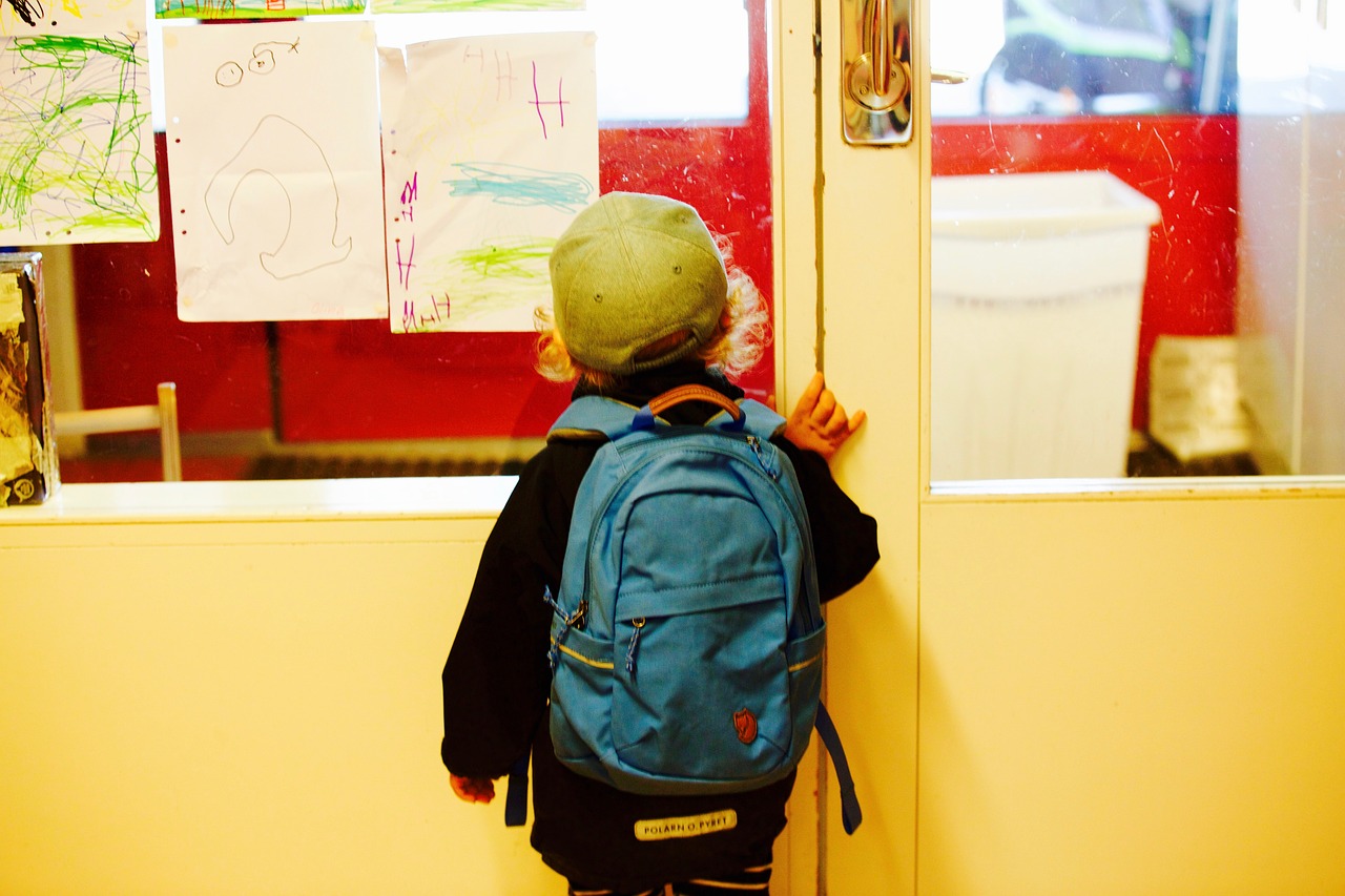 Entry To School Schoolboy School - TJENA / Pixabay