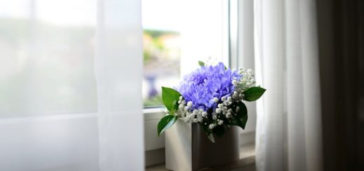 Flower Vase Window Curtains Room  - congerdesign / Pixabay
