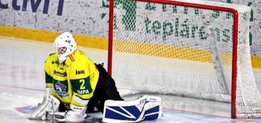 Hockey Goalkeeper Goal Person  - RoboMichalec / Pixabay