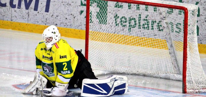 Hockey Goalkeeper Goal Person  - RoboMichalec / Pixabay