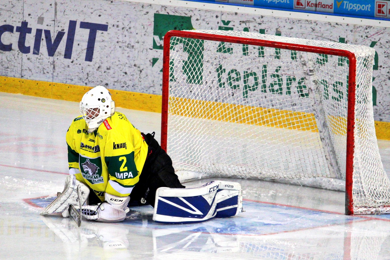 Hockey Goalkeeper Goal Person - RoboMichalec / Pixabay
