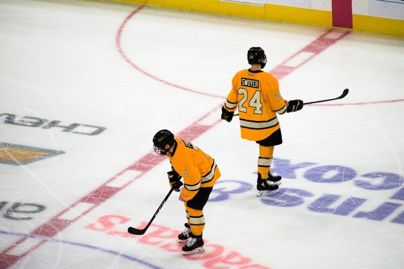 Hockey Ice Hockey Player Players - naive_eye / Pixabay