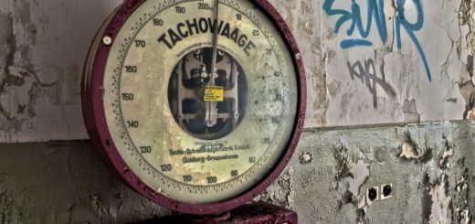 Horizontal Speedometer Scale Weigh  - MichaelGaida / Pixabay