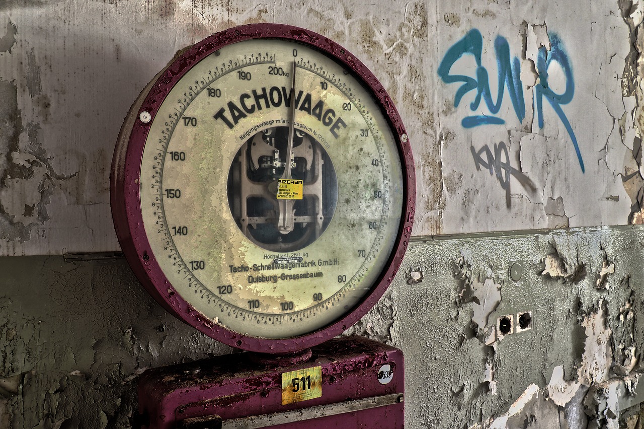 Horizontal Speedometer Scale Weigh - MichaelGaida / Pixabay