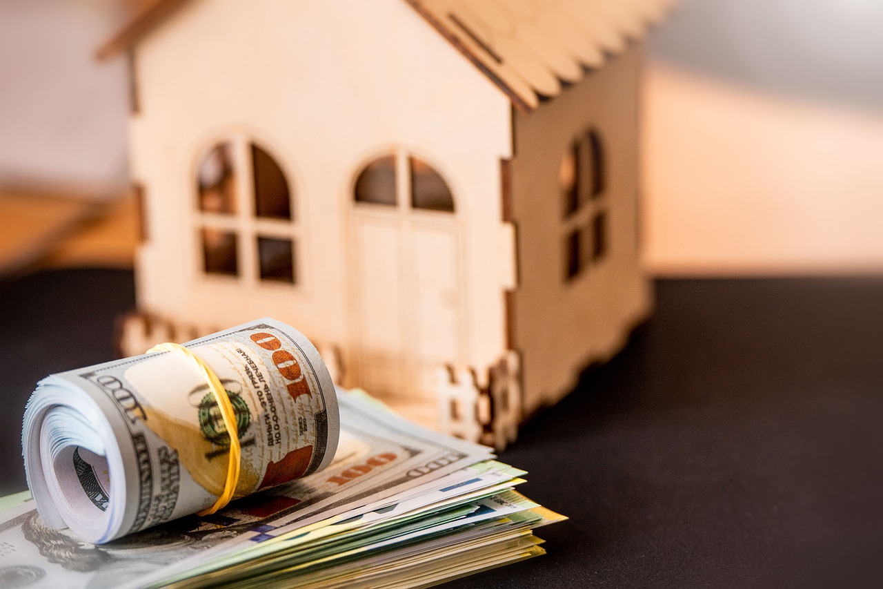 Money Cash Banknotes Investment  - VisionPics / Pixabay