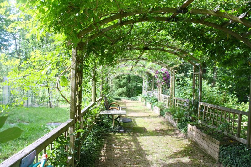 Pergola Shady Walk Garden Walk - inkflo / Pixabay