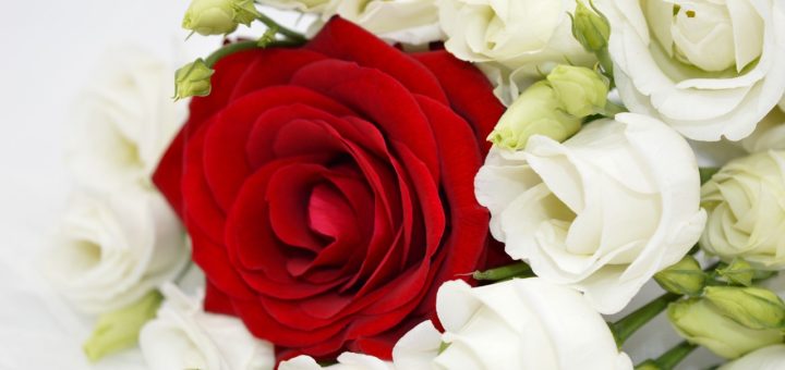 Roses Bouquet Of Roses Red Rose  - neelam279 / Pixabay