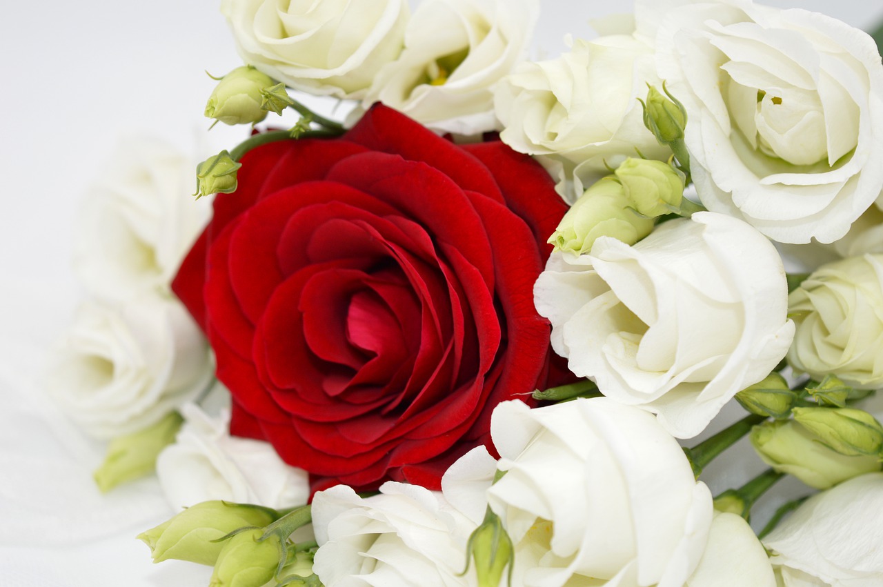 Roses Bouquet Of Roses Red Rose - neelam279 / Pixabay