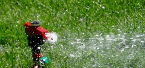 Sprinkler Watering Grass Turf  - Free-Photos / Pixabay