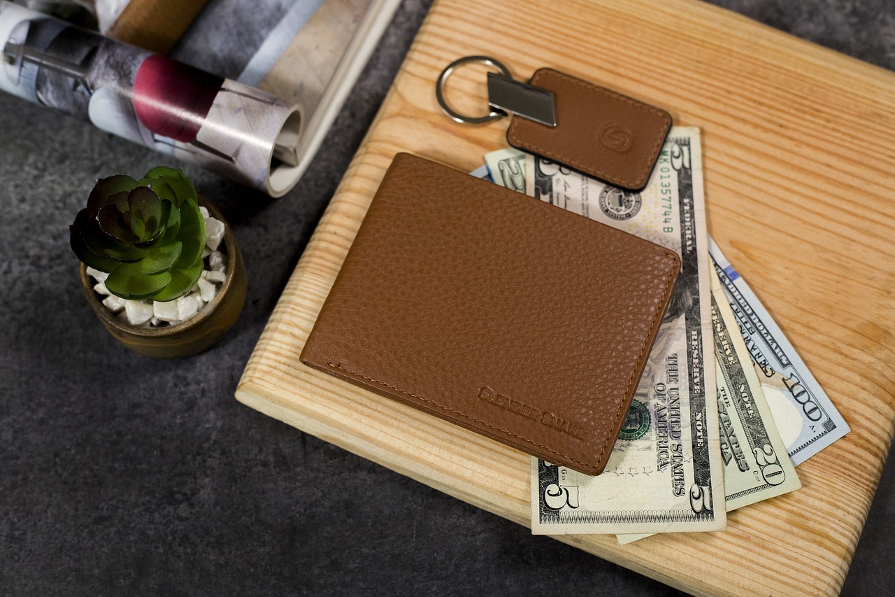 Wallet Money Men Bills Bank Notes - slendersnakewallet / Pixabay