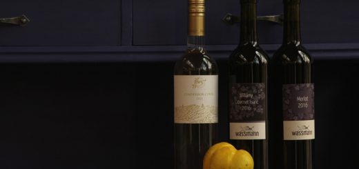 Wine Alcoholic Drinks Wine Bottles  - Profoto0023 / Pixabay