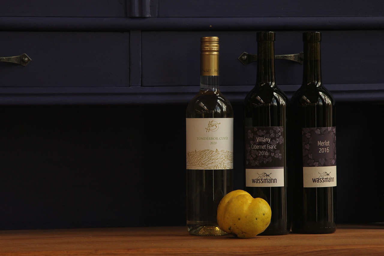 Wine Alcoholic Drinks Wine Bottles - Profoto0023 / Pixabay